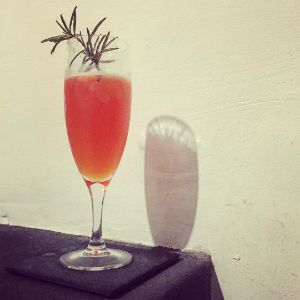 An image of the Apparent Sour cocktail submitted by n0tquitethere that contains Aperol, Lime, St Germain and Rosemary