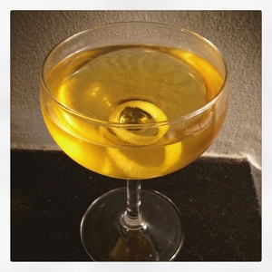 An image of the Barnum (Was Right) Cocktail cocktail submitted by Toby that contains London Dry Gin, Apricot Brandy, Angostura Bitters, Lemon and Lemon