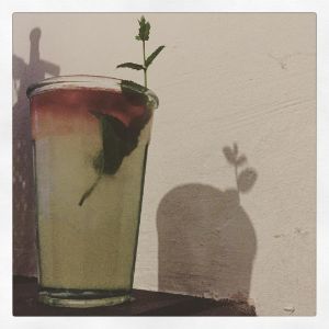 An image of the Don't Fight It cocktail submitted by n0tquitethere that contains London Dry Gin, Lillet Blanc, Green Chartreuse, Lime, Angostura Bitters and Mint