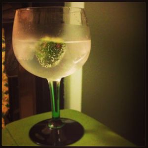 An image of the Gin & Tonic cocktail submitted by n0tquitethere that contains London Dry Gin, Tonic Water and Lime
