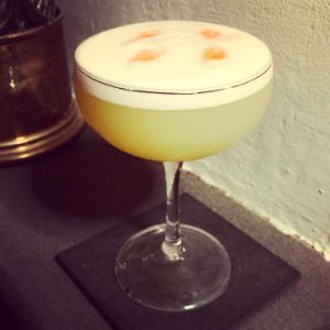 An image of the Gonzo Pisco Sour cocktail submitted by n0tquitethere that contains Pisco, Gose, Simple Syrup, Egg and Angostura Bitters