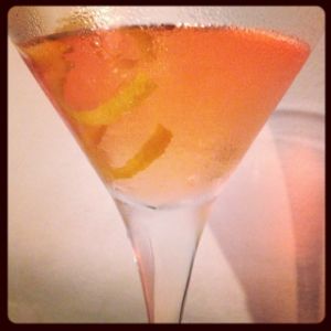 An image of the New Amsterdam cocktail submitted by n0tquitethere that contains Genever, Kirschwasser, Demerara Syrup, Peychauds Bitters and Lemon